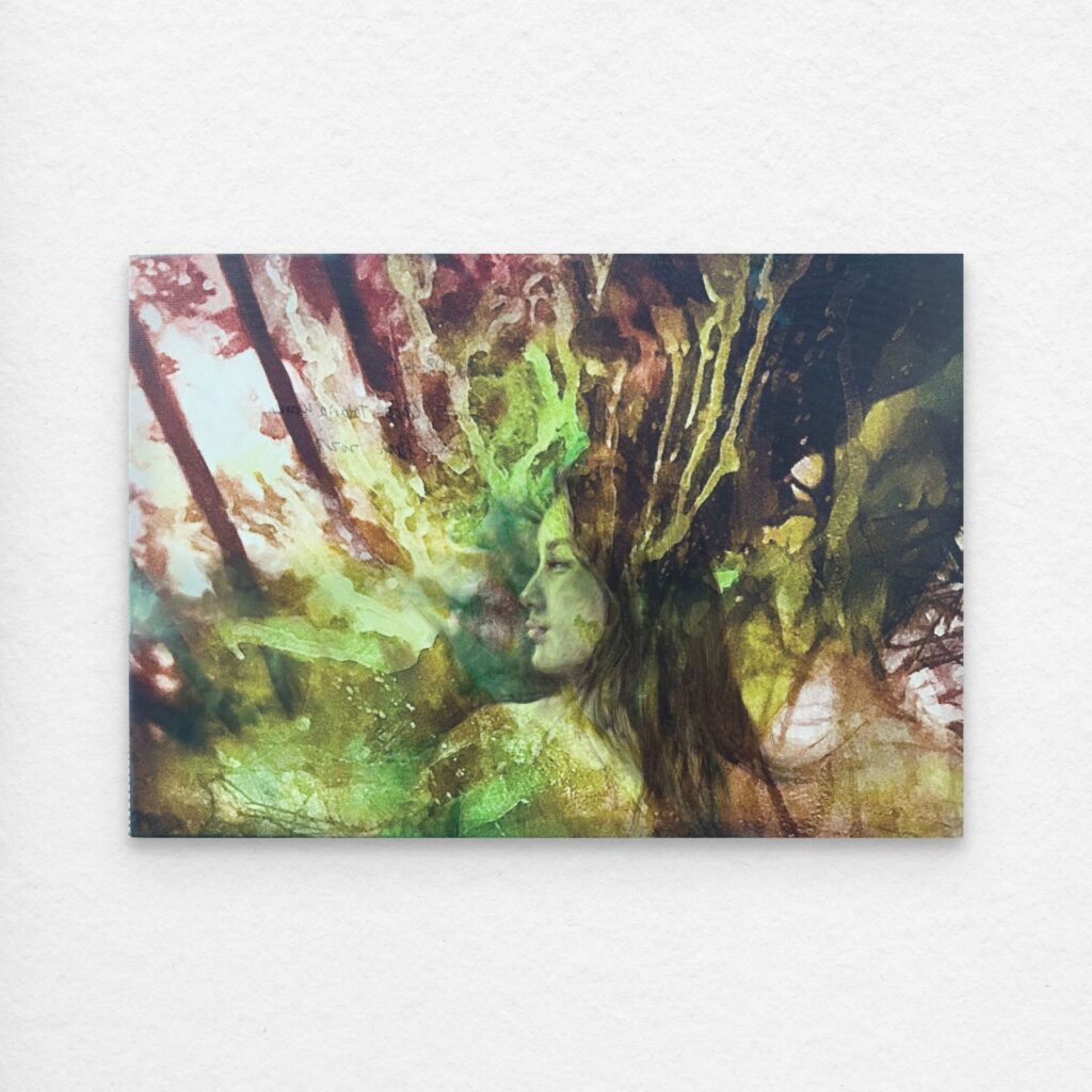 One of the 7000 Oak Trees - Jiny Lan