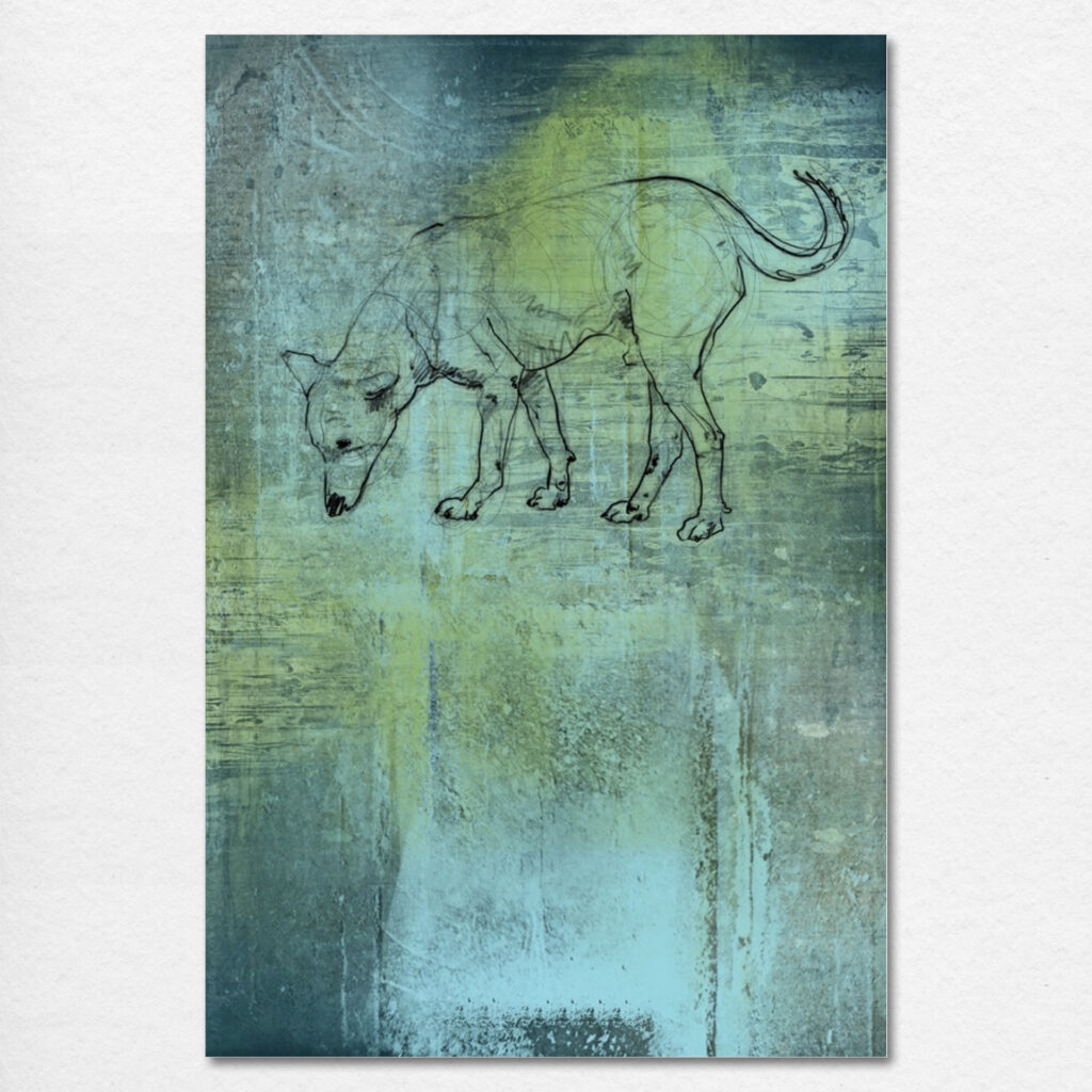 Dieter Nuhr - Hund (Indien) 01, 180x120, 2024